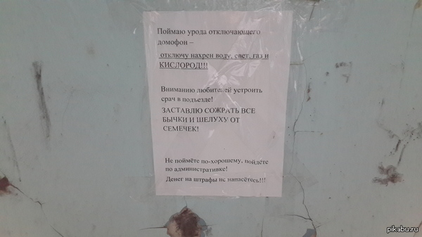 ������ � ��������