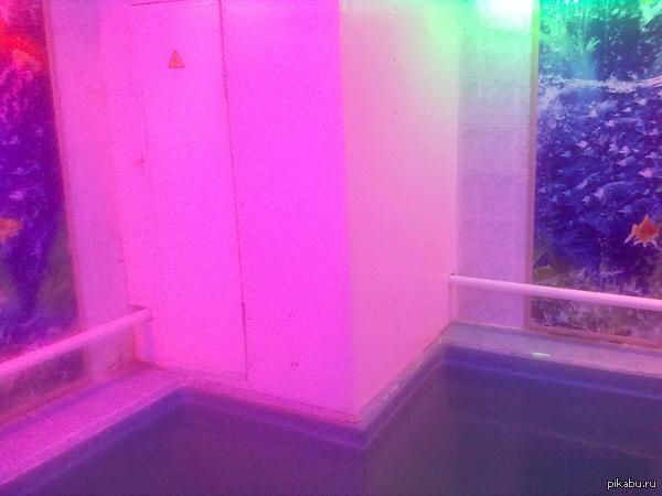 ������� ������������ �����