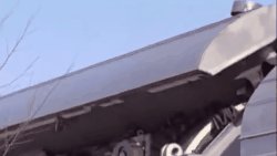 Мужское утро.