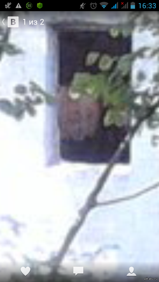 ������ �� ����.