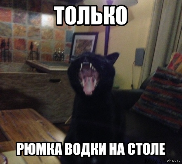 ���! ������! ����������!)))