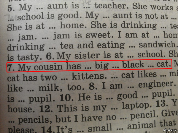 ����������