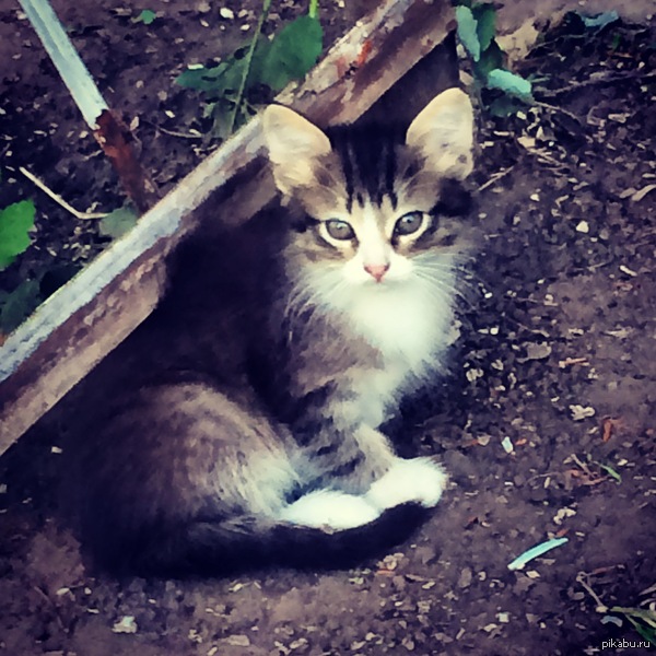 ������) ������ ������� �� �����? ����� �� �����.