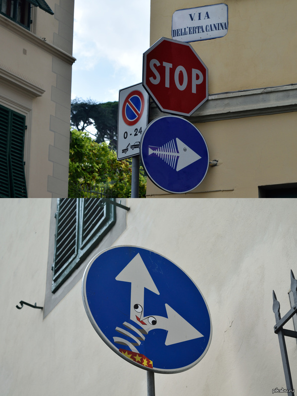 Рыбьим скелетам проезд без остановки запрещен