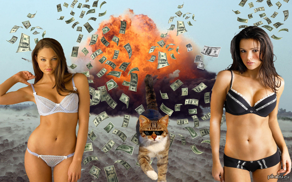 I need to score PLUSES! Help brothers and sisters - NSFW, My, cat, Girls, Deal with IT, Money, Explosion, Epic, Brutality