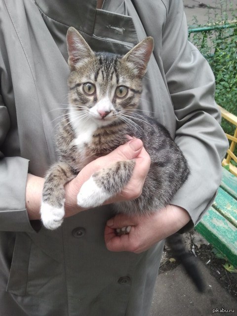 ��� ����� ������� ���� ��������� ����?) ����� �������, �������� � ���������� �� ������ �����. ����� ��������� �� �����