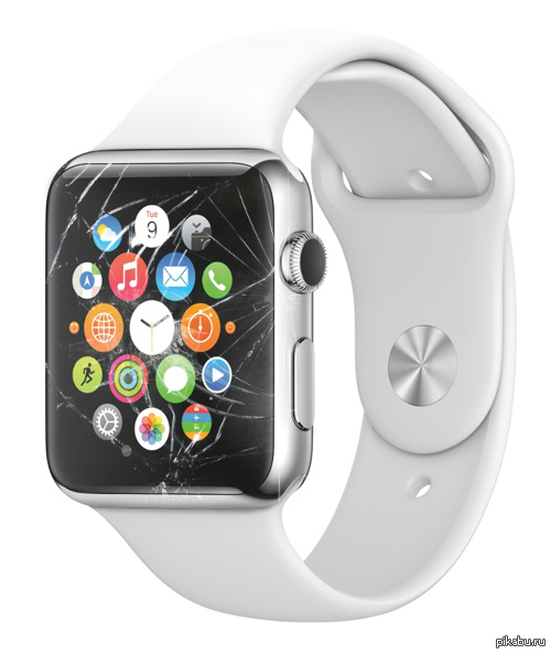  ,  iWatch      .