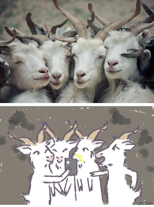 &quot; ,     ,    &quot;