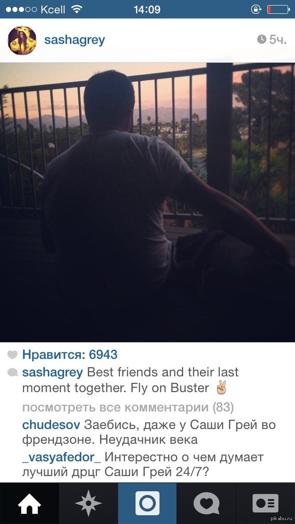 � ������ ����, �������, ��������, ������