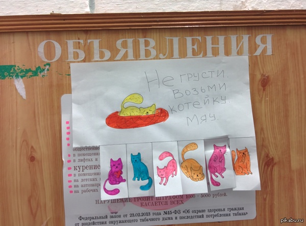 ��� ������� ������� ��� ����