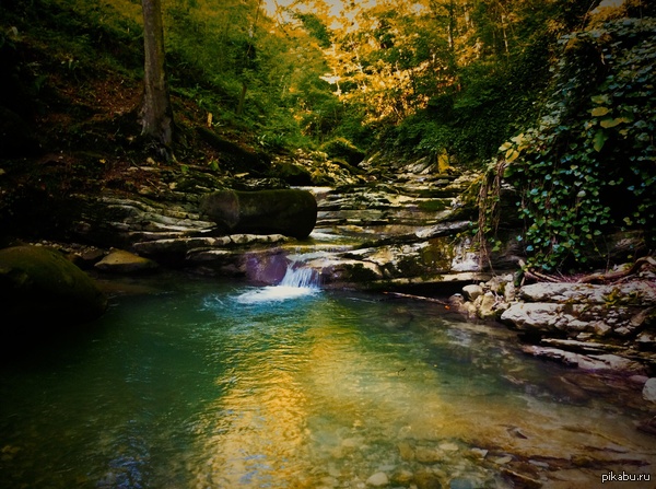 ������ "����������", ������������� ����