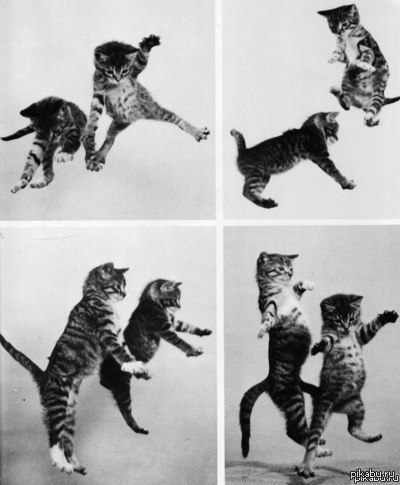 Всех с пятницей, господа!