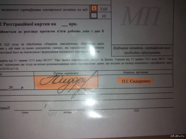 Показалось