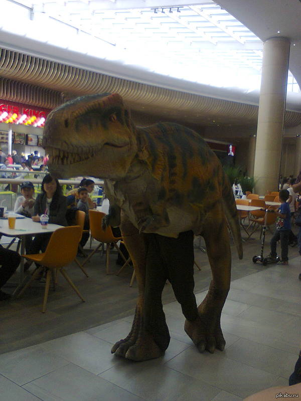 Кто - кем.. Зато я работаю динозавром)