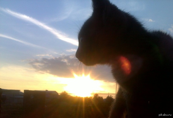 ��������� �����