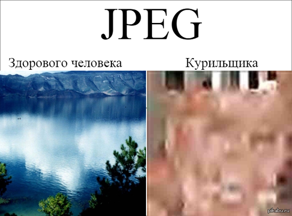 JPEG. 