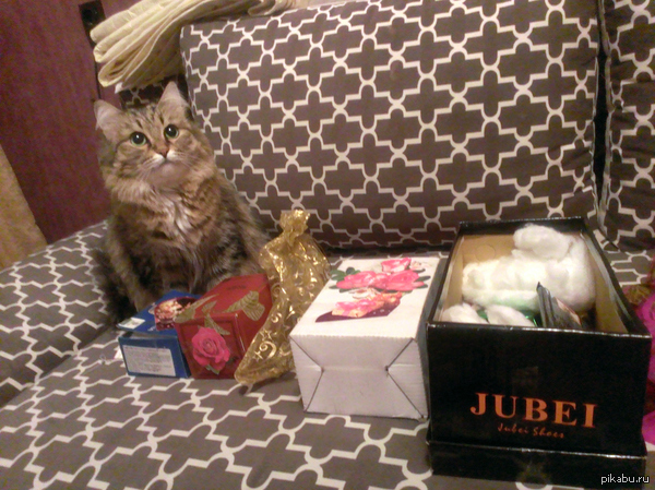 Подарили подарок упакованный в несколько коробок. Котейка осталась довольна не меньше хозяйки :)