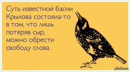 Довести до безумия. Цитата про птиц и свободу. Юмор про птиц. Цитаты про птиц. Птицы матерясь возвращаются с Юга.