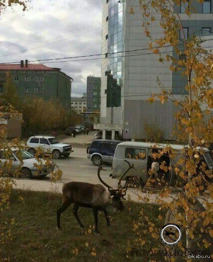 � ������ �� ������ ������� �� ������ �����!