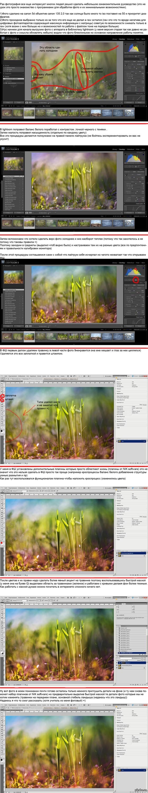 ���� ���� �� ������ � ������������.