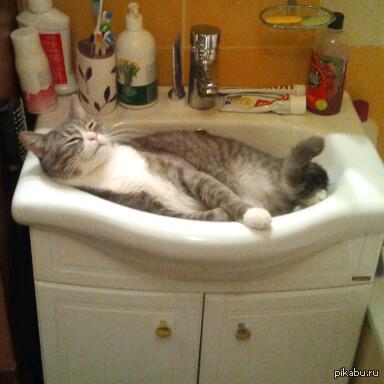 �������)   � ����� �� ����:http://pikabu.ru/story/_2677344