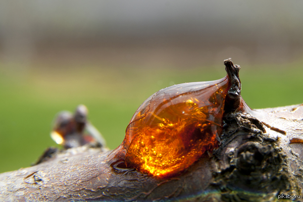 "������"