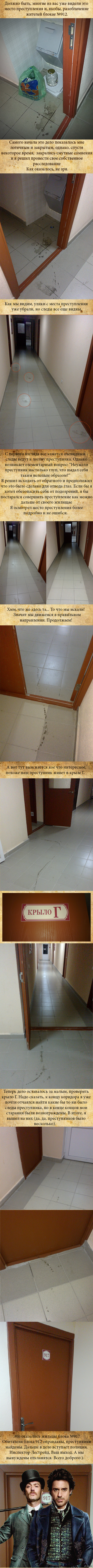 Настоящее дело Холмса