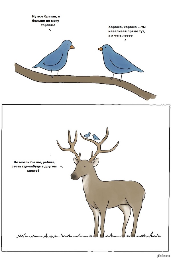 Difficult everyday life of animals - Comics, Humor, Birds, Deer, Deer