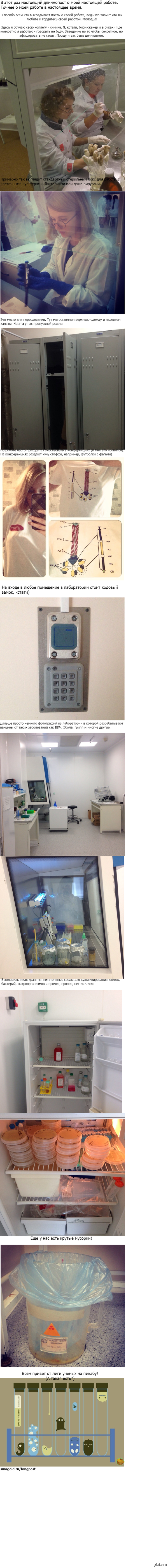 ������ �����������