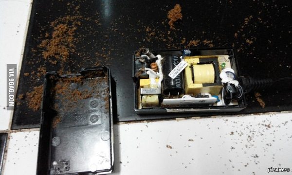 What was inside the broken adapter - Electronics, Insects, Adaptergag