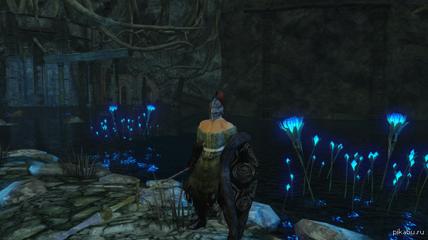 Чуточка нежности в жестоком мире Dark Souls 2. Как раз для моего воина :)