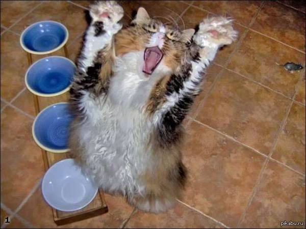 �� ����� ������, �������!