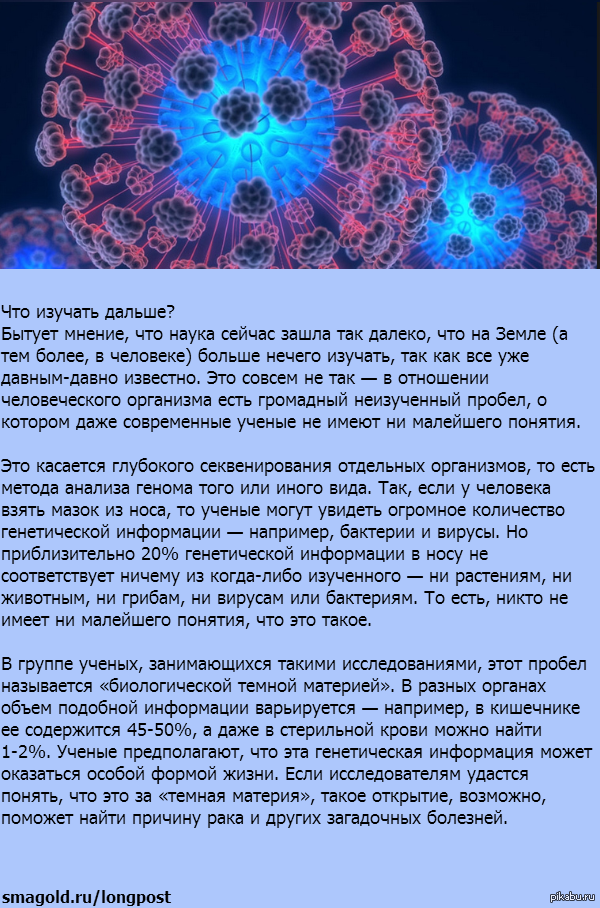 ������ ������� ��������