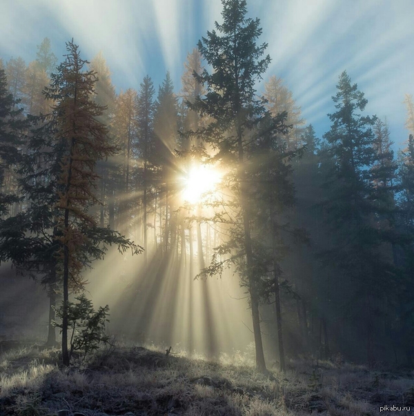 ������������...