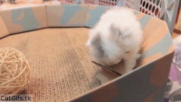  ^^ 