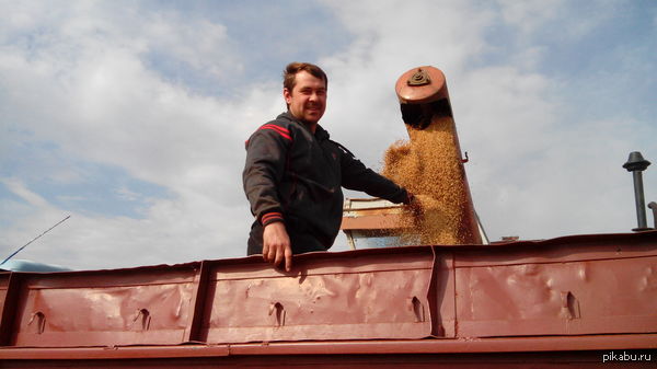 Моя сезонная работа)) | Пикабу