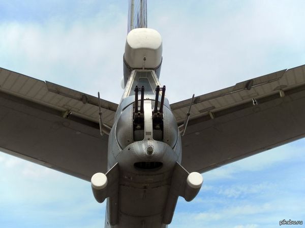 Реснички | Пикабу