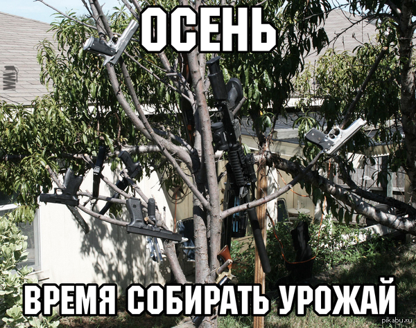 Типичный урожай в Техасе