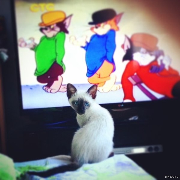 тайка смотрит мультики=)))