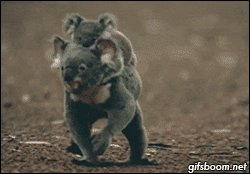   ^^ 