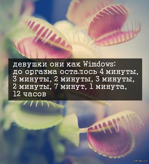 Windows,  ... ,    .