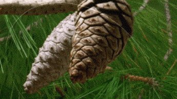      *?&quot;!% 