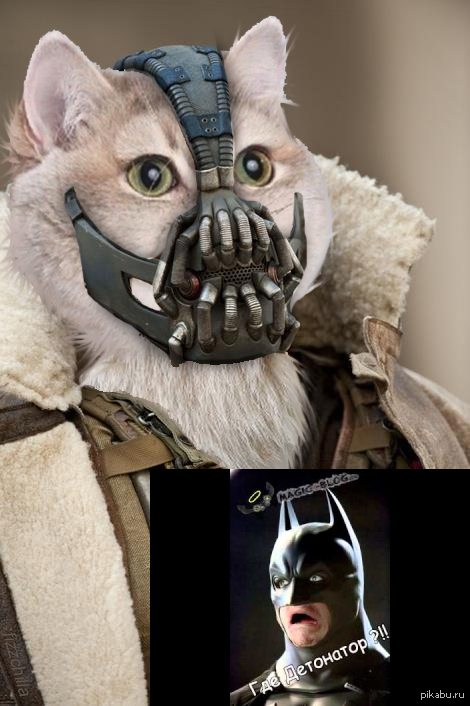 ��� ���������?!