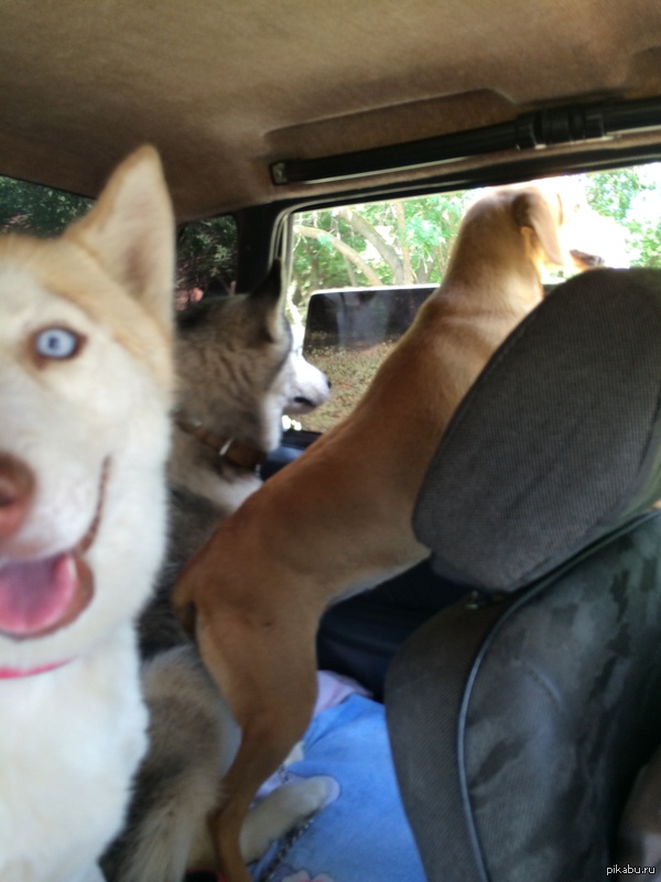 Делай селфи правильно