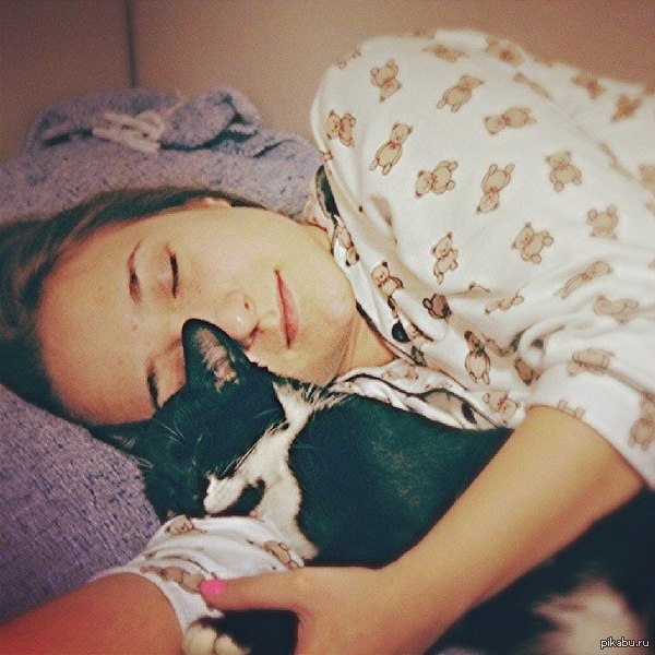 Ходят легенды, что здесь любят котиков...