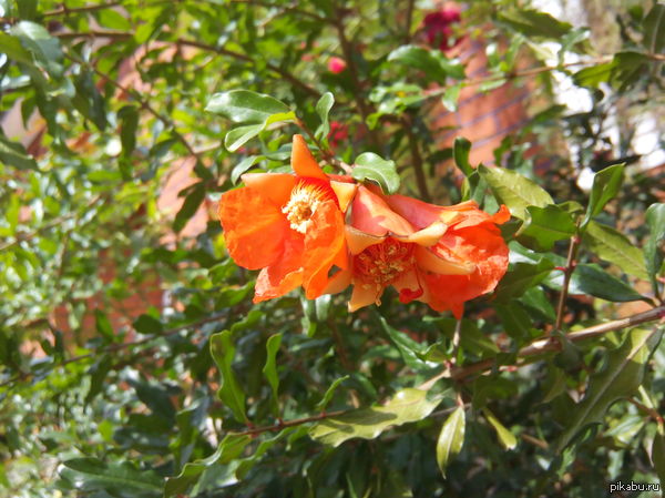 � � ���� � ������ ������ ������