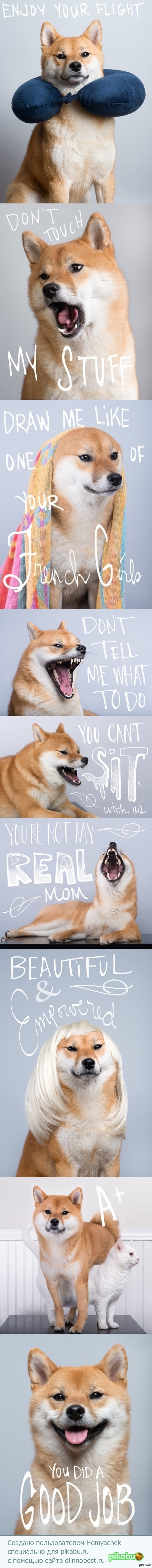 ���������� ������