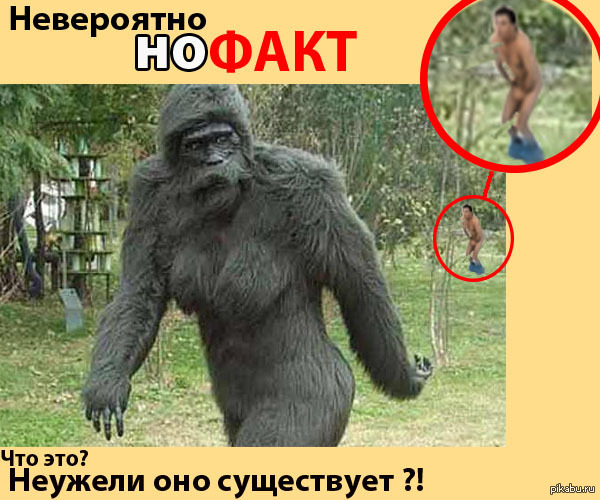 Бигфут в реальной жизни