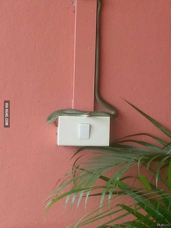 ���... �� ��� �� � �����