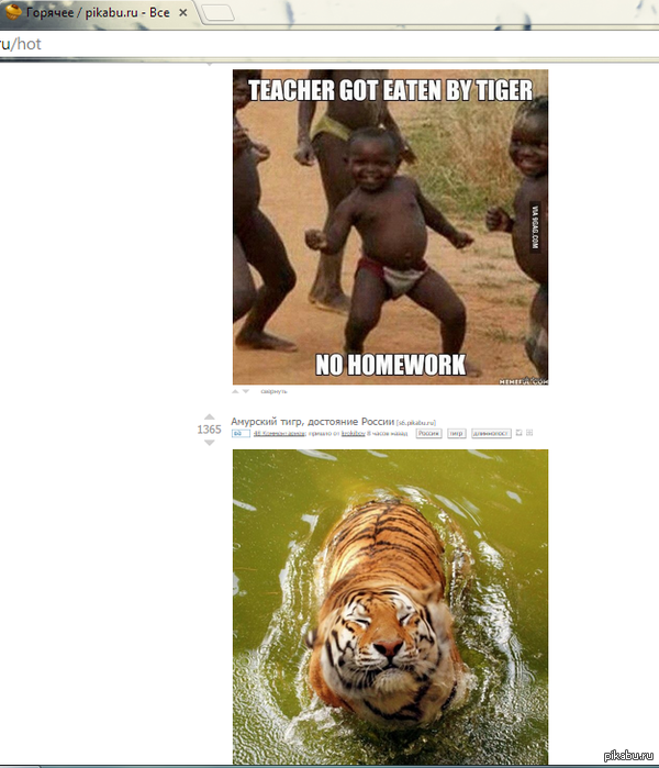 ����� ������ �����